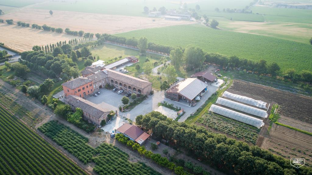 Agriturismo Arte Contadina フィオレンツオーラ・ダルダ エクステリア 写真